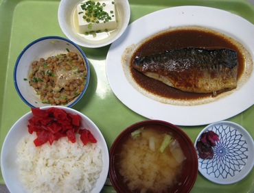 税関食堂36