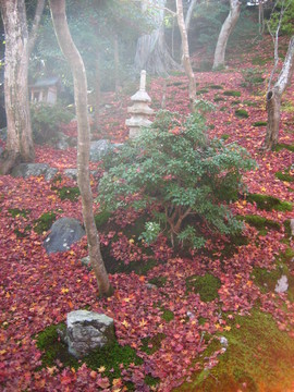 常寂光院1