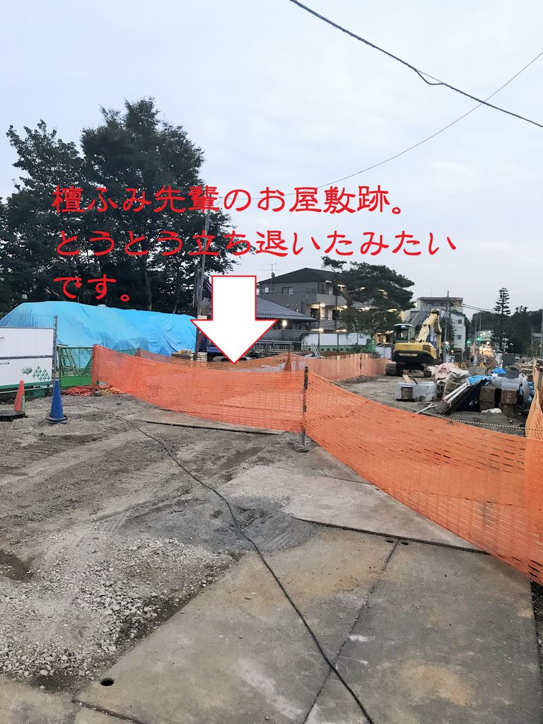 石神井公園 辰巳軒 14th 下町っ子の上の空