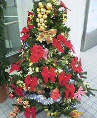 街は既にクリスマスですネ!一年は早いです(^^) 代替テキスト