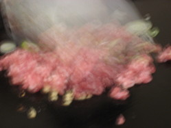 Àã¤ó»Ò¾Æ¤£