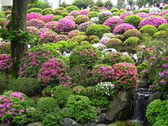 ���ſ��ҭ�