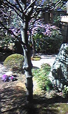 川島2