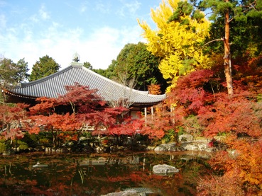 ��ﻰ����6