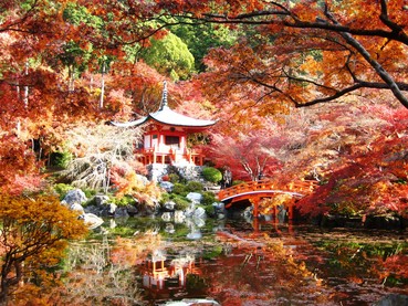 ��ﻰ����5