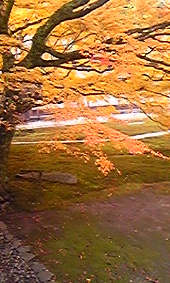 ±Ê¸»»ûB