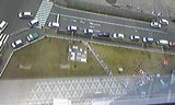 あしかがフラワーパーク9