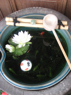 ���Ҳ����