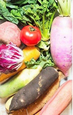 野菜