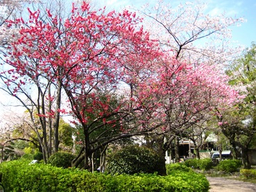 �Ȥ���������4