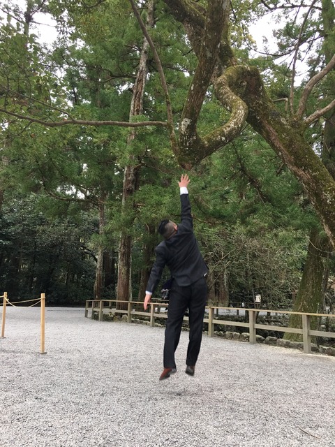 前半戦🎡_170321_0010