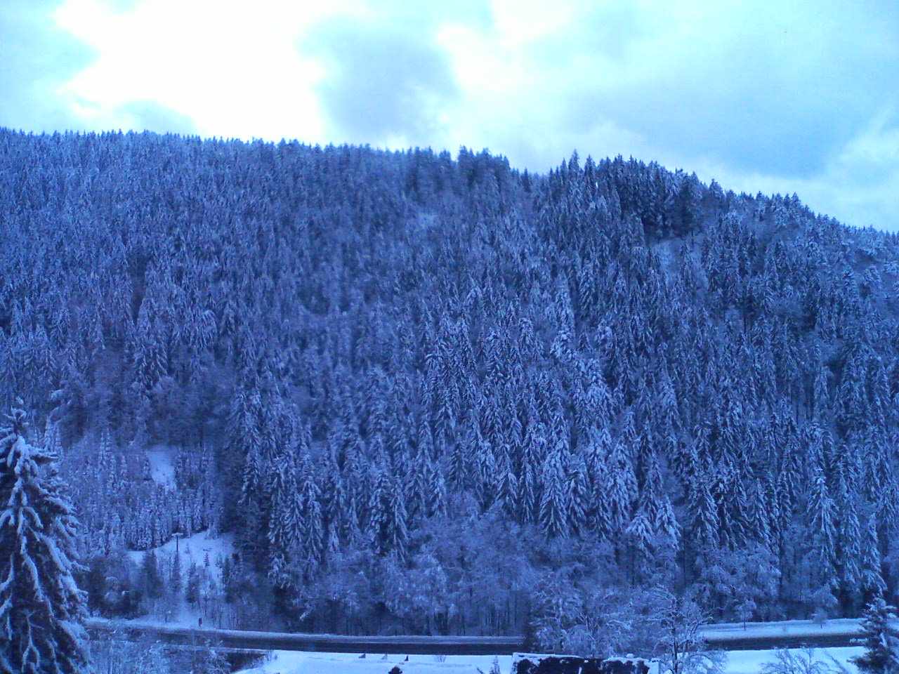 Schwarzwald 疾風怒濤