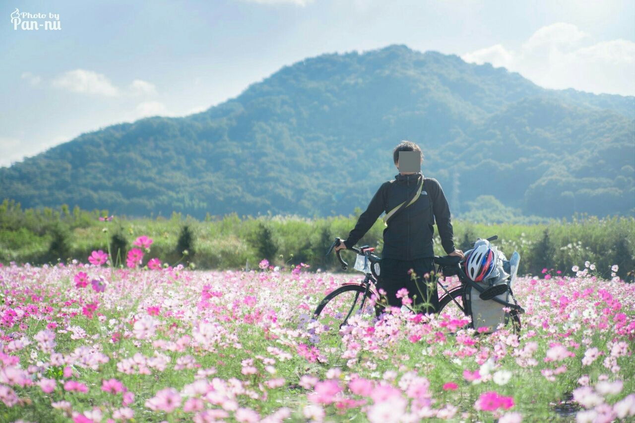 Day131 岡山県笠岡市 兵庫県相生市 i 愛 会い むしょくチャリダーz おら 日本一周した教員さなりてぇ Day131 岡山県笠岡市 兵庫県相生市 i 愛 会い むしょくチャリダーz おら 日本一周した教員さなりてぇ