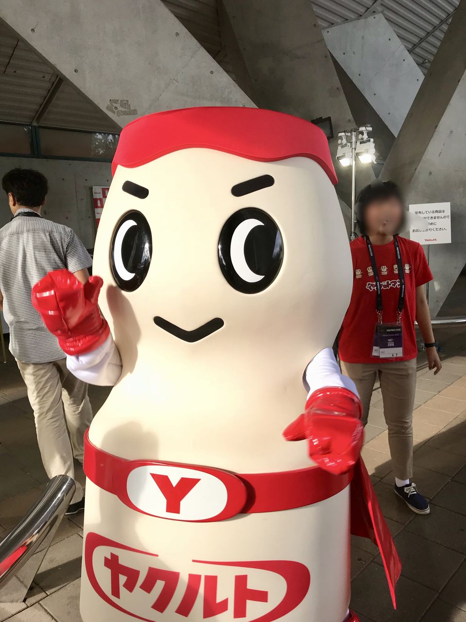 ヤクルトマン スポーツ馬鹿一代