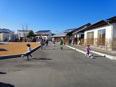 DSC07155
