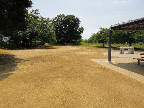 DSC09451