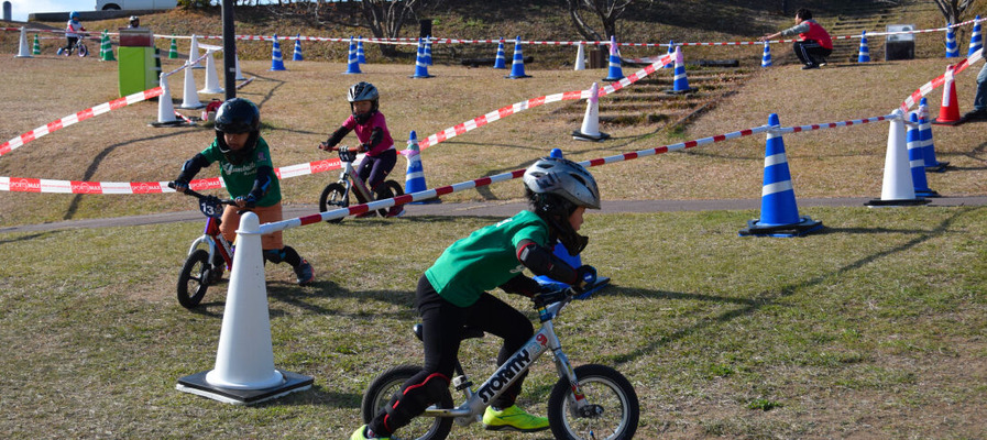 MAX�饤��゙��6