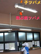 �ʎގҤȿͤζ�¸