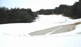 08年 初の雪景色