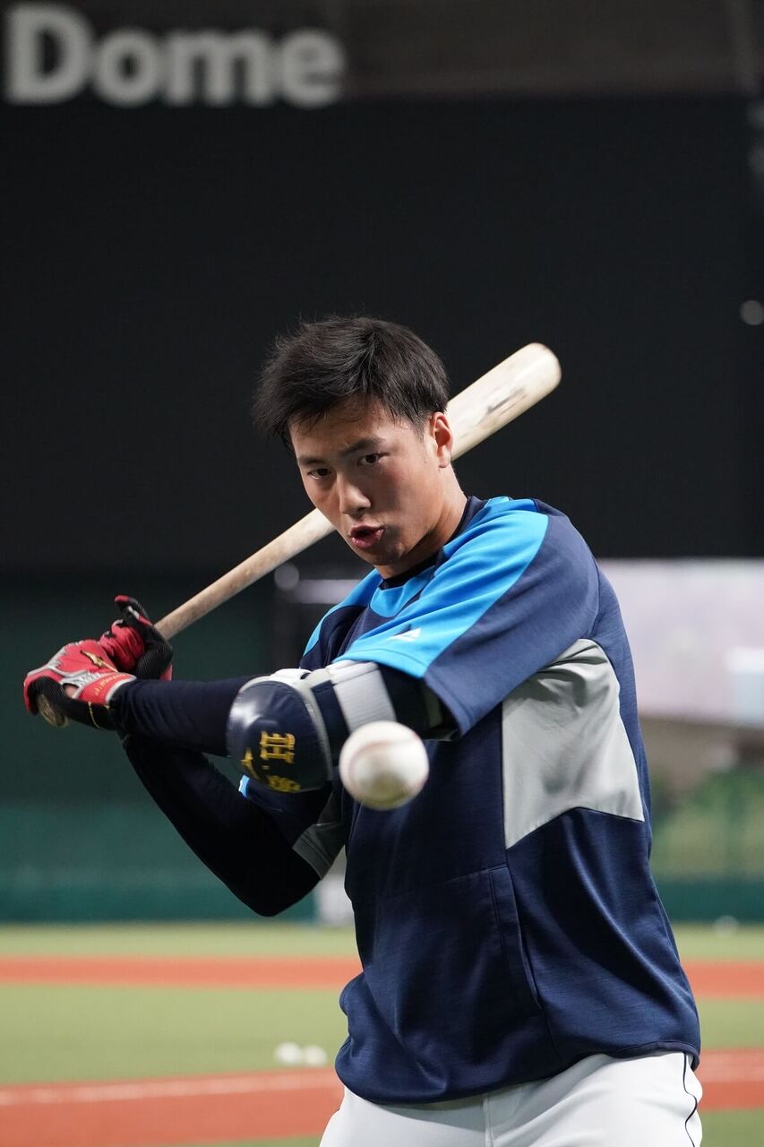 埼玉西武ライオンズ 長谷川信哉 63 ユニフォーム ラメ アイロンシート 埼玉西武ライオンズ 長谷川信哉 63 ユニフォーム ラメ アイロン