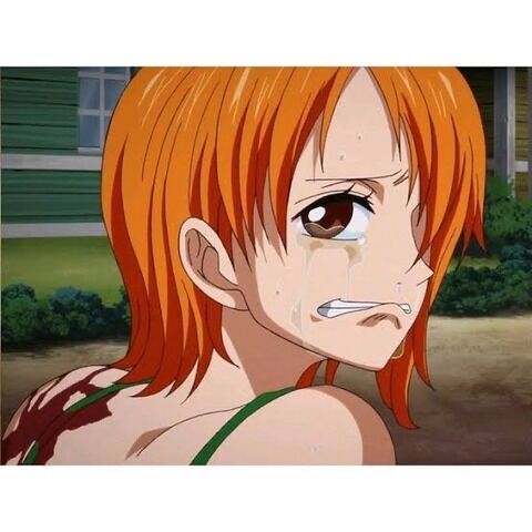 ワイ ルフィ 助けて 大人のスポーツちゃんねる