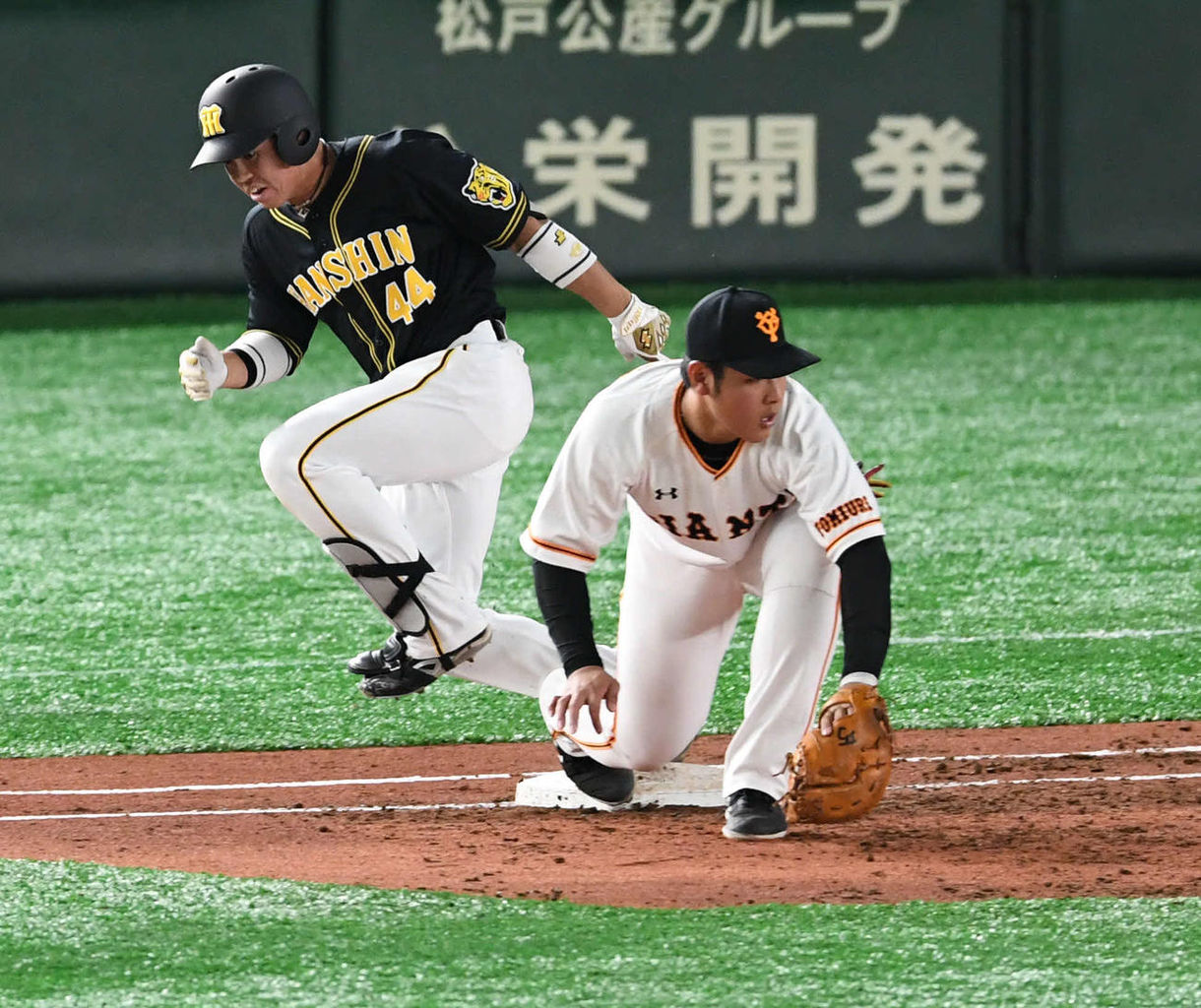 阪神タイガース 監督選手 27ページ目 阪神タイガース伝言板 阪神タイガース 監督選手 27ページ目 阪神タイガース伝言板