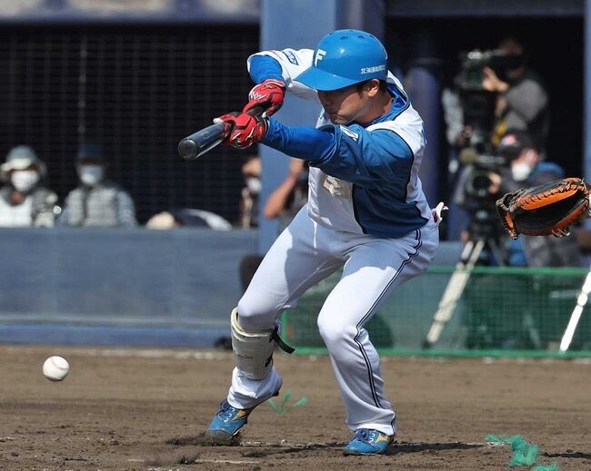 プロ野球 日本ハム５連勝 奇襲が ズバズバ決まる 背景は 新庄イズム の浸透 やきう速報ちゃんねる