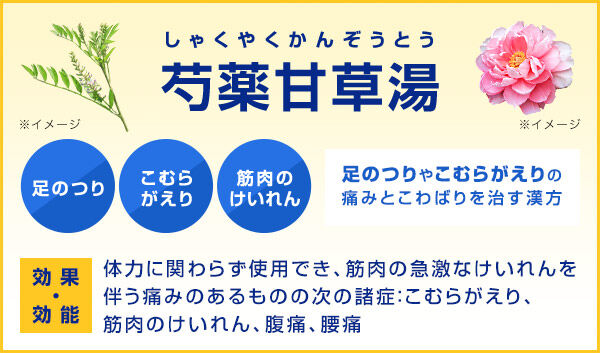 【三種の神器その1】こむら返りのこむら返りのための緊急対処法:芍薬甘草湯のメリット : sports a little about a lot