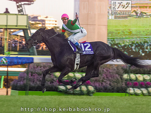 ２年連続年度代表馬 シンボリクリスエス スポーツあれこれｎｅｗｓ