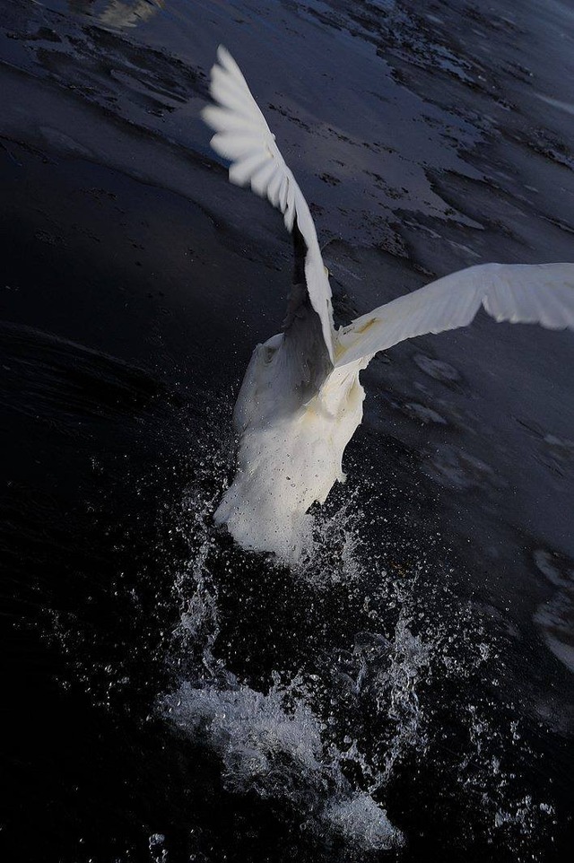 35833796_1989470451086063_5816722720628408320_o