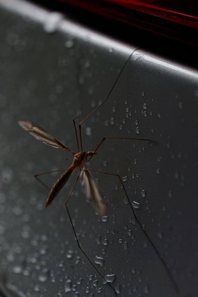 35829454_1989464161086692_8611479445036859392_o