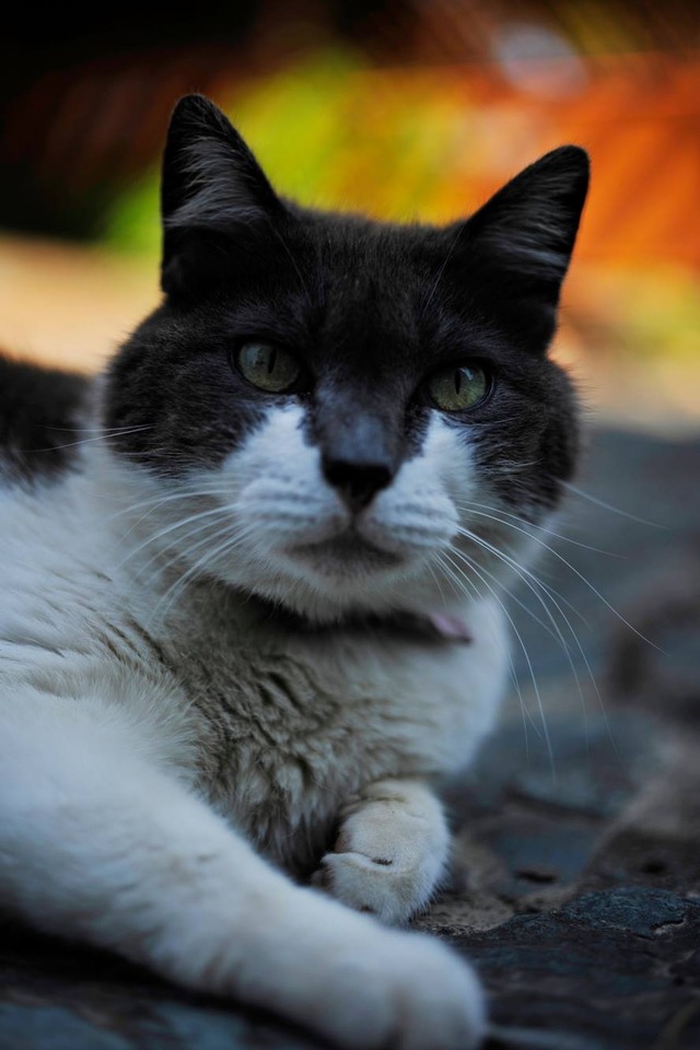 35345793_1980062188693556_2170749468662562816_o