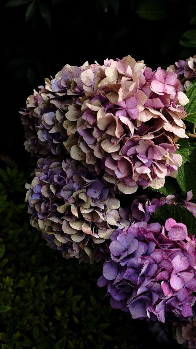 36044660_1990181981014910_8461296911280766976_o