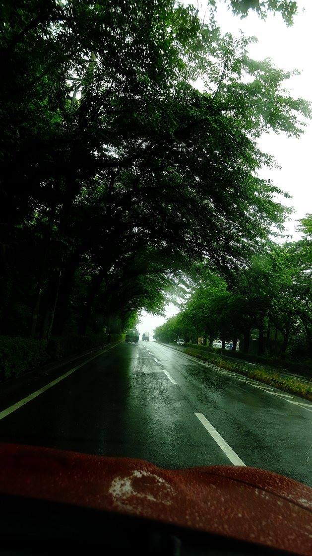 35400869_1977188972314211_7469255746186641408_o