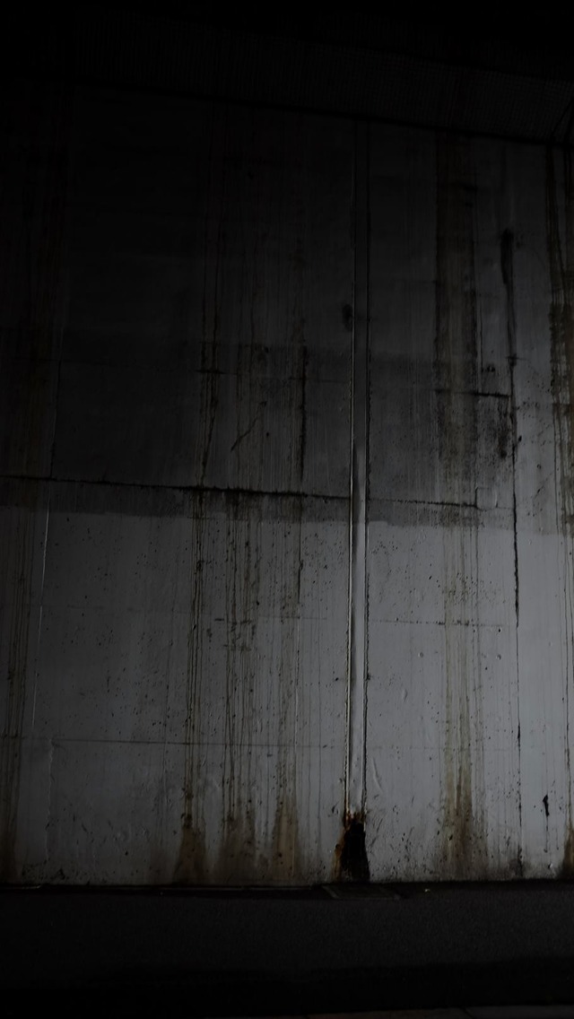 35695427_1988635251169583_7599782048579977216_o