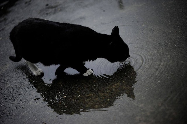 35476813_1983161471716961_4513782887455129600_o