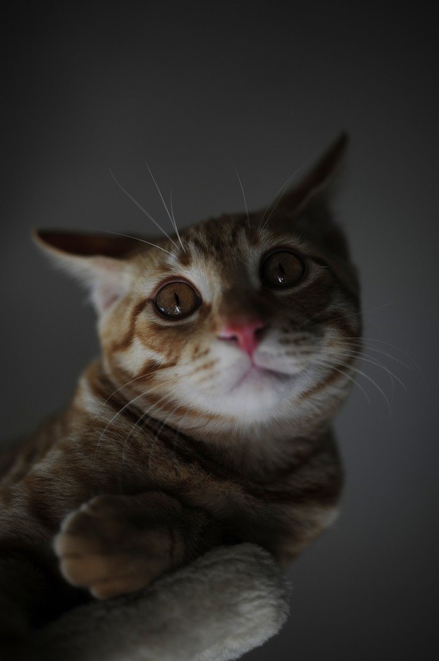 62408761_2553167511383018_8393688817462149120_n