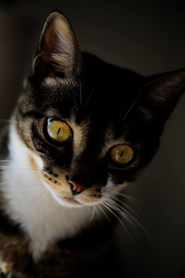 35329332_1980062275360214_4715141524206125056_o