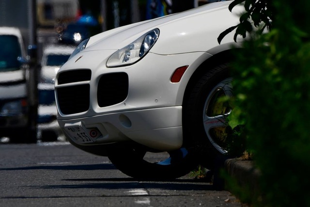 35489436_1983159185050523_5762538306575269888_o