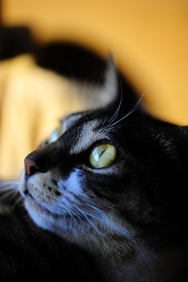 64222787_2553166894716413_3105741429272477696_n