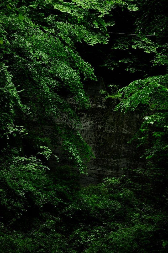 35151520_1972296336136808_5117358953709174784_o