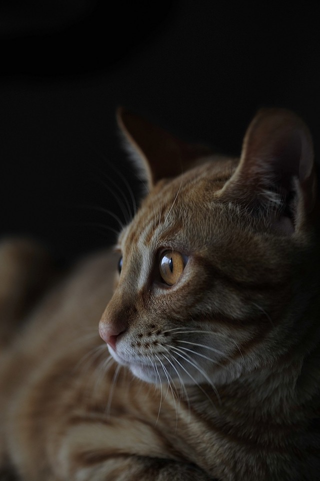 64232244_2553167944716308_4212718513367810048_o