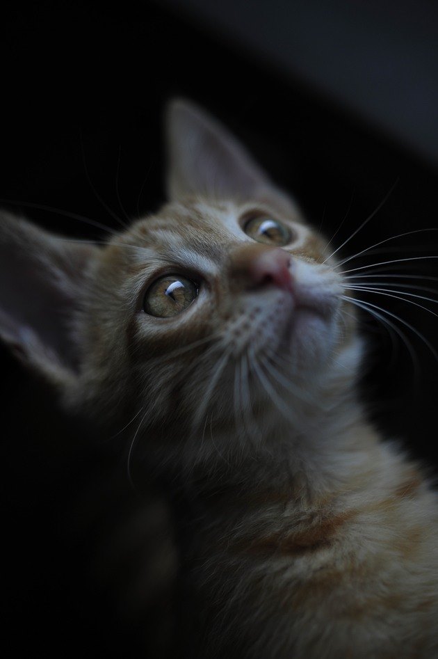 62533845_2553165891383180_3936726783965003776_n