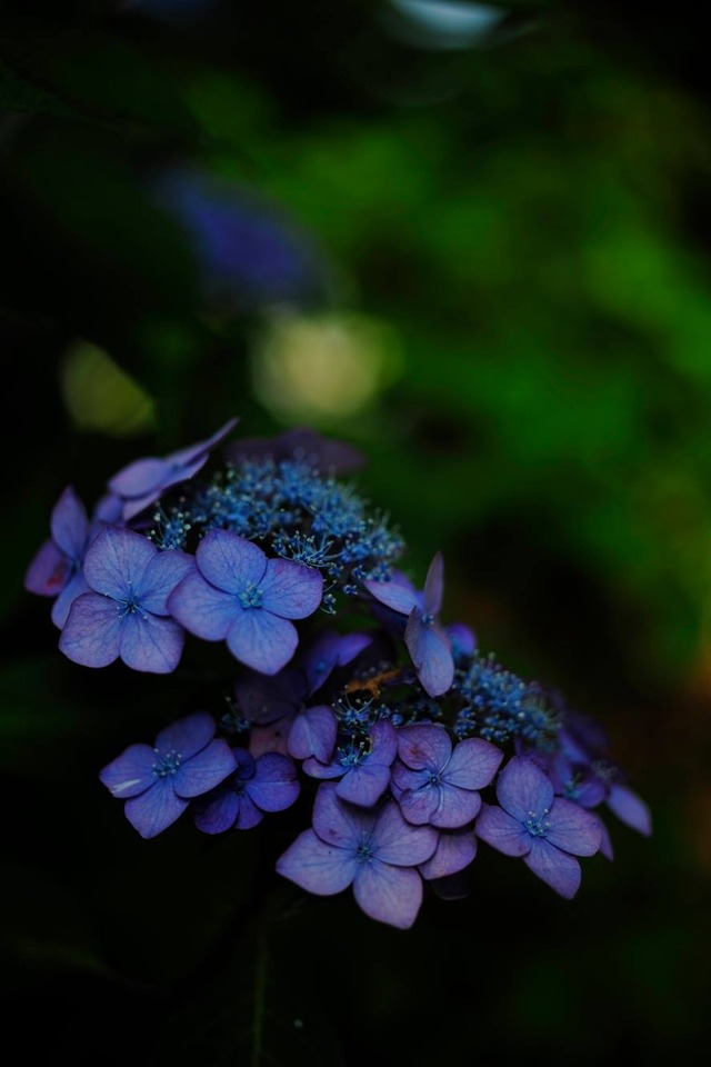 35515036_1980060668693708_1530181540577804288_o