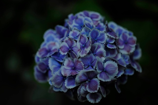 35357432_1980062592026849_1221392693578432512_o