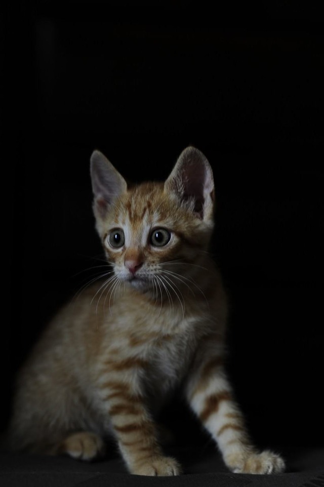 64217281_2553166898049746_1198939734131343360_o