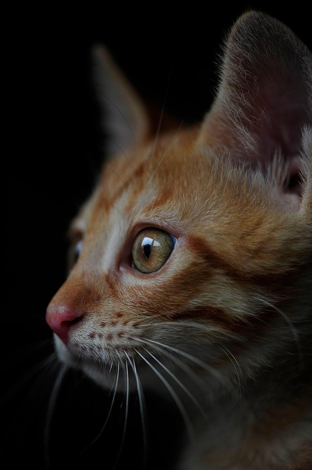 62477833_2553165901383179_7141344596683915264_n