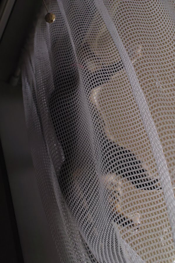 64273905_2553166524716450_2705090408702017536_n