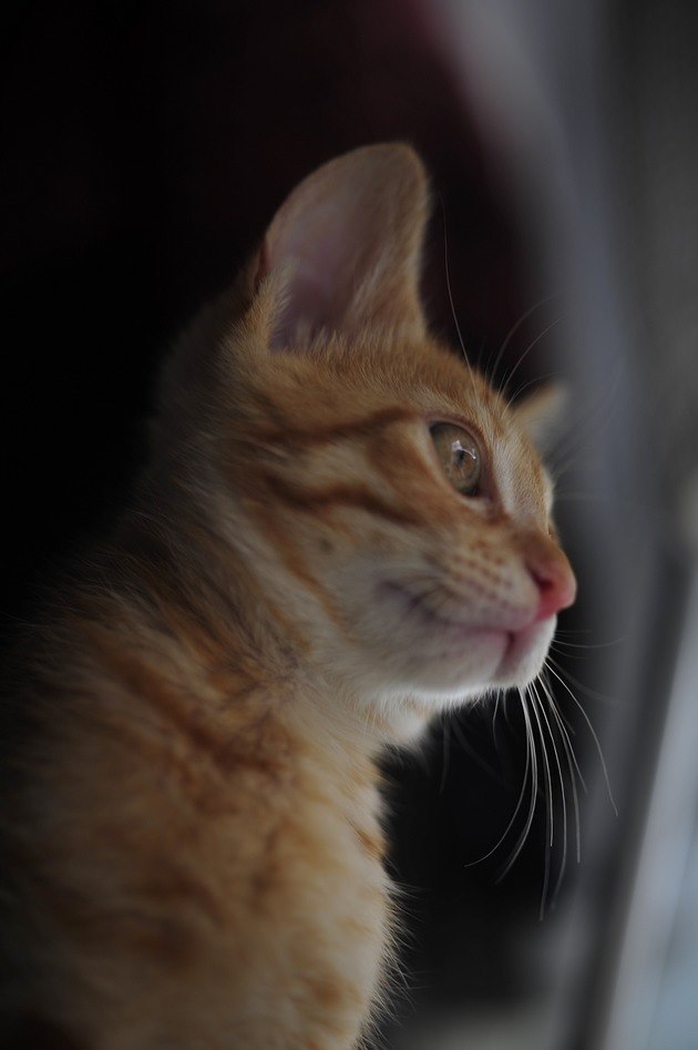 62434090_2553168018049634_902726087518191616_n