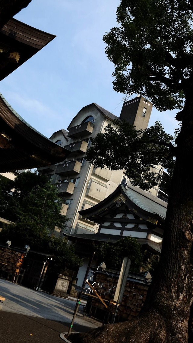 35883369_1990186121014496_991395678754177024_o